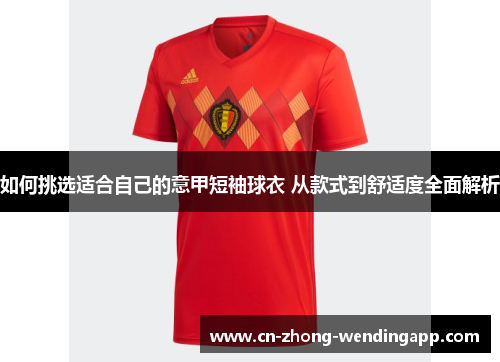 如何挑选适合自己的意甲短袖球衣 从款式到舒适度全面解析