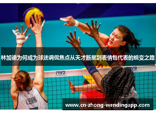 林加德为何成为球迷调侃焦点从天才新星到表情包代表的蜕变之路