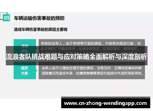 流浪者队挑战难题与应对策略全面解析与深度剖析