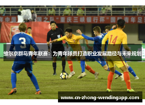 维尔京群岛青年联赛：为青年球员打造职业发展路径与未来规划