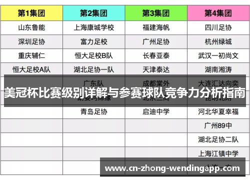 美冠杯比赛级别详解与参赛球队竞争力分析指南