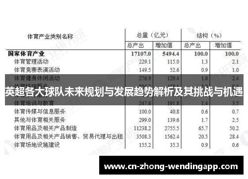 英超各大球队未来规划与发展趋势解析及其挑战与机遇