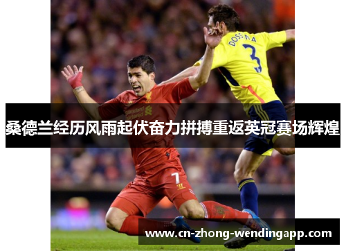 桑德兰经历风雨起伏奋力拼搏重返英冠赛场辉煌